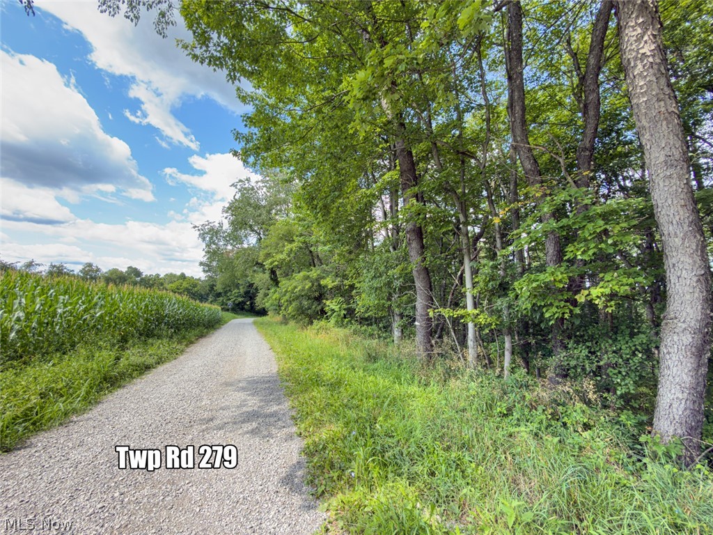 0 St Rt 164 Property Photo 18