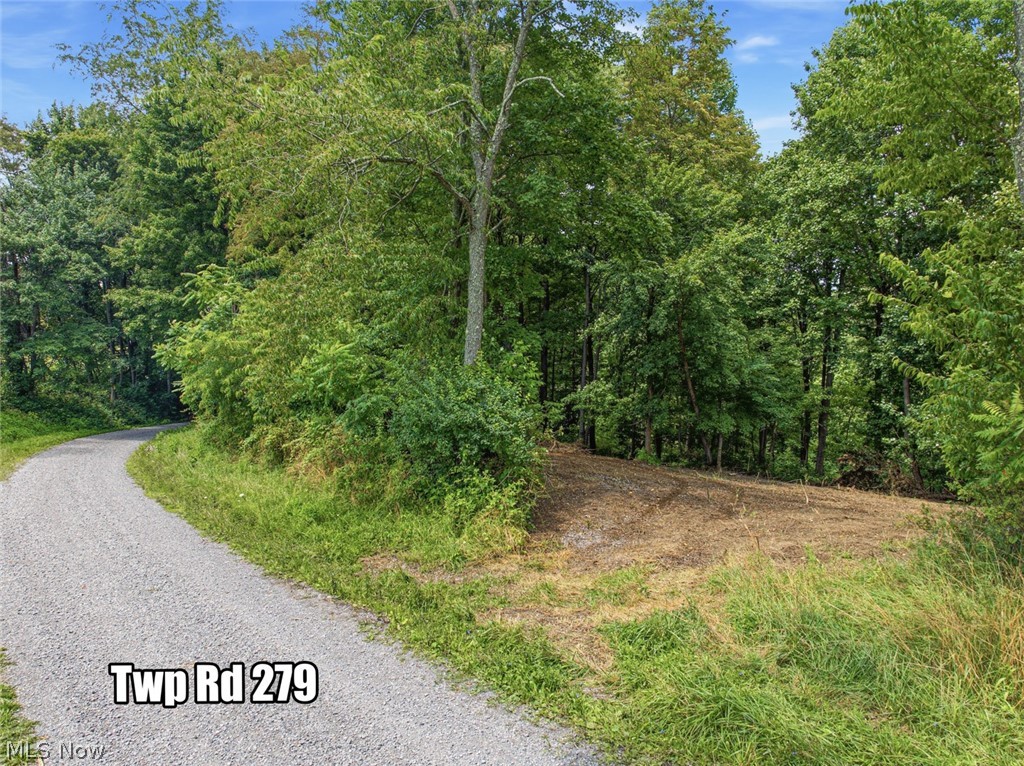 0 St Rt 164 Property Photo 19