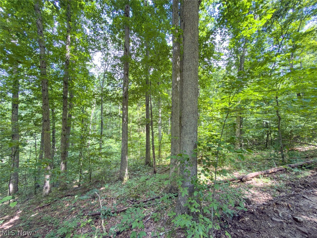 0 St Rt 164 Property Photo 35