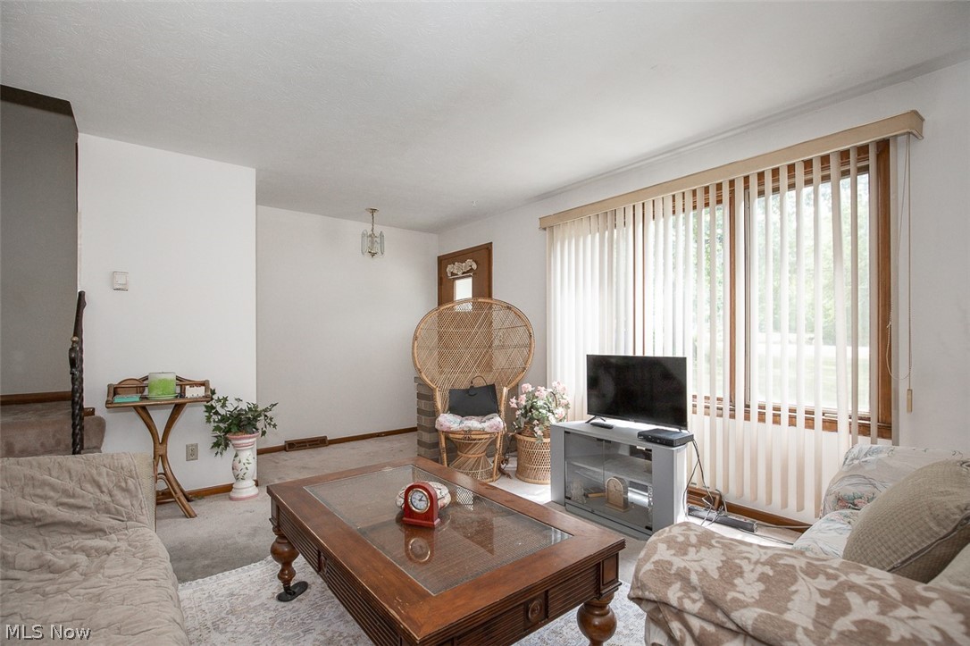 5144 Orchard Park Drive Property Photo 3