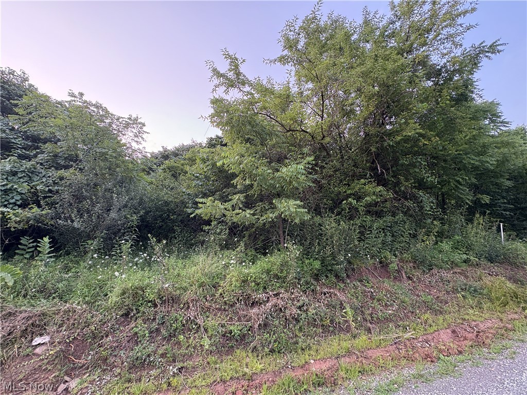 Britton Road Property Photo 2