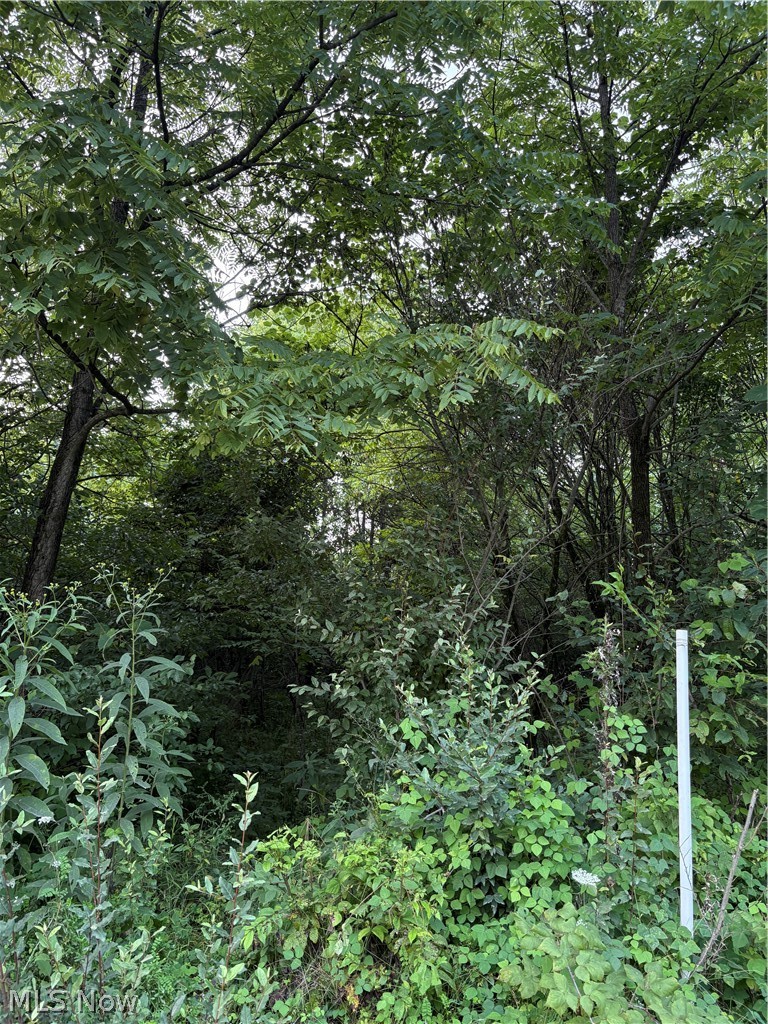 Britton Road Property Photo 5