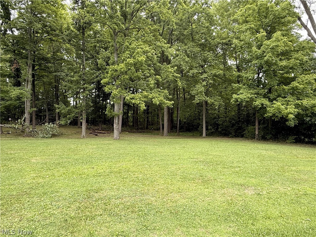 V/l Fairview Avenue Property Photo 1