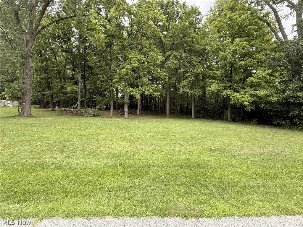 V/l Fairview Avenue Property Photo 2