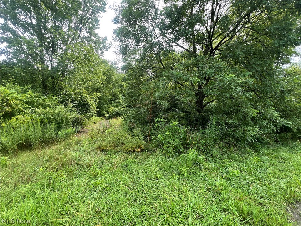 1093 S Home Road Property Photo 10