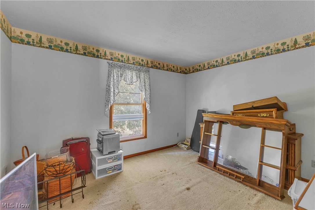 1127 Fireside Trail Property Photo 21