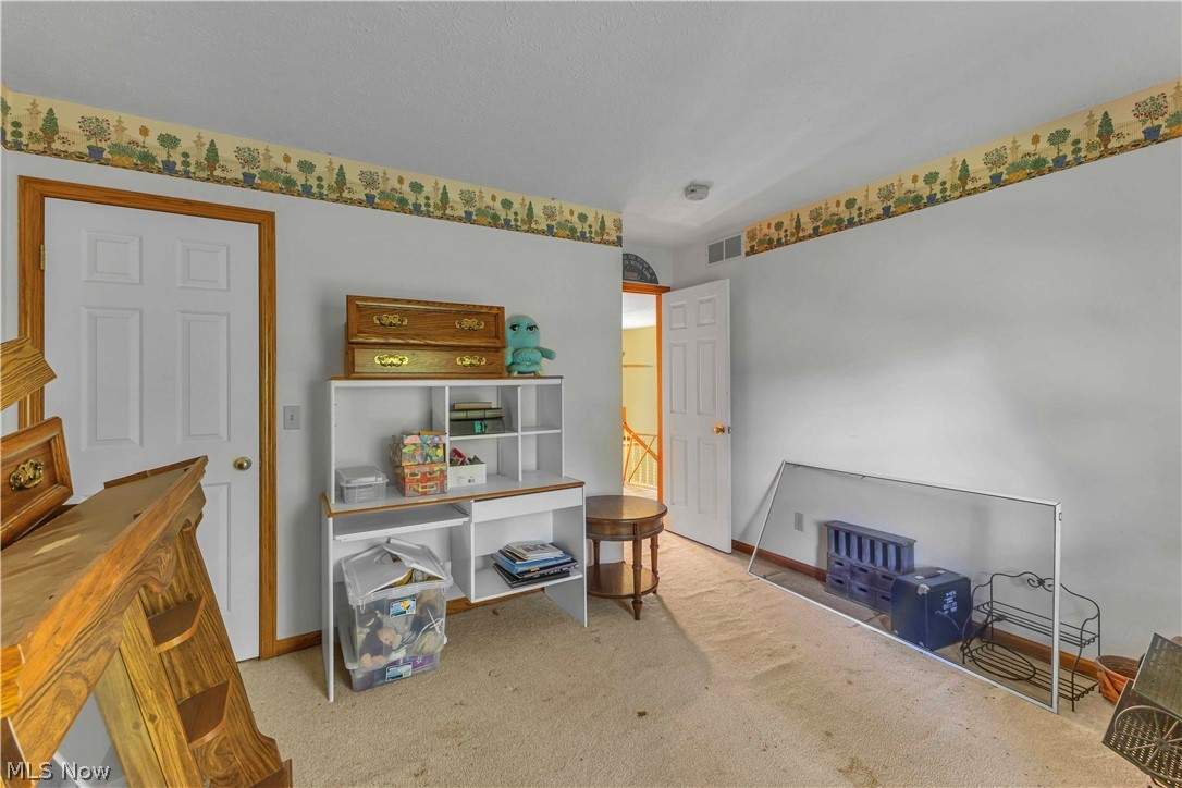 1127 Fireside Trail Property Photo 22