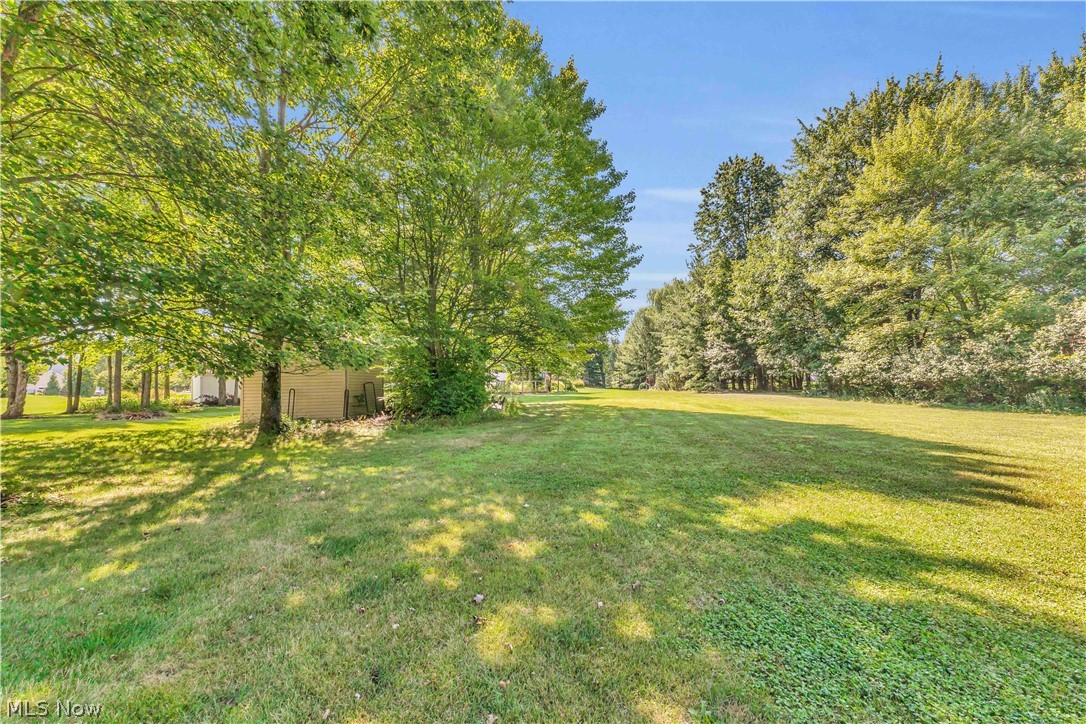 1127 Fireside Trail Property Photo 39