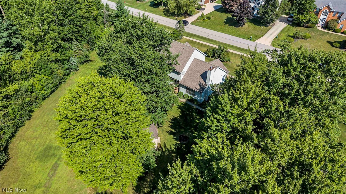 1127 Fireside Trail Property Photo 47