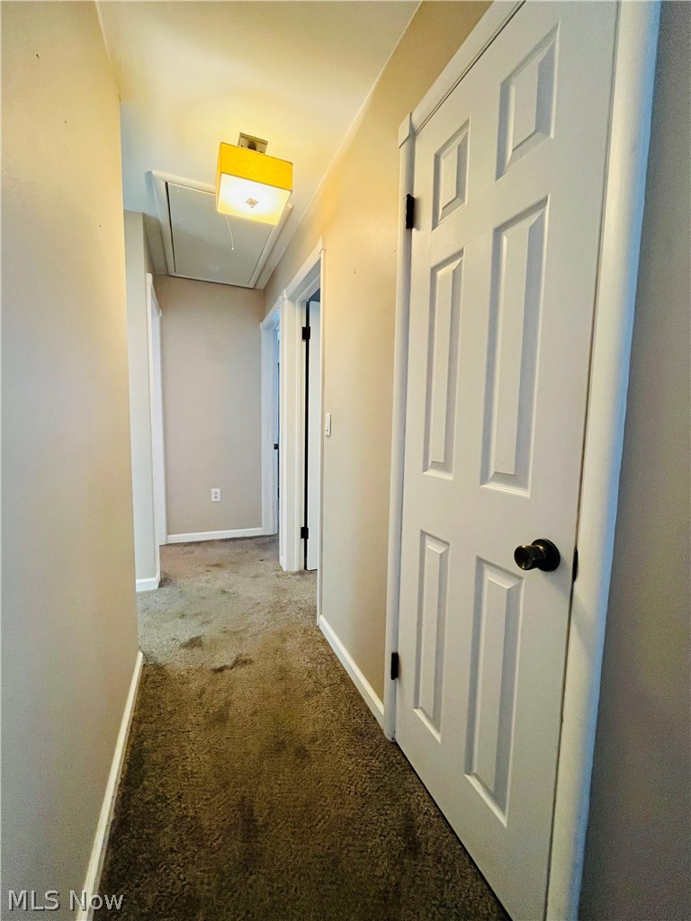 1015 Union Avenue Property Photo 14