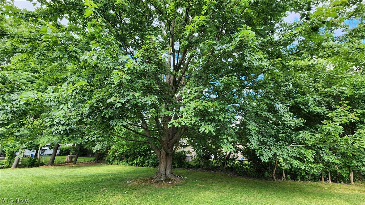 2491 Samira Road Property Photo 16