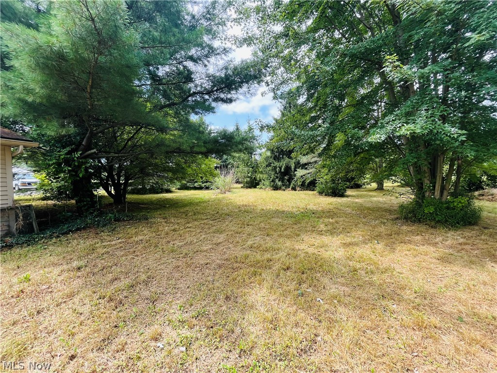 5921 Pine Street Property Photo 15