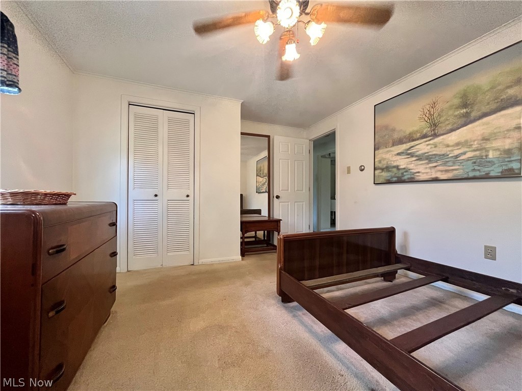 5921 Pine Street Property Photo 28