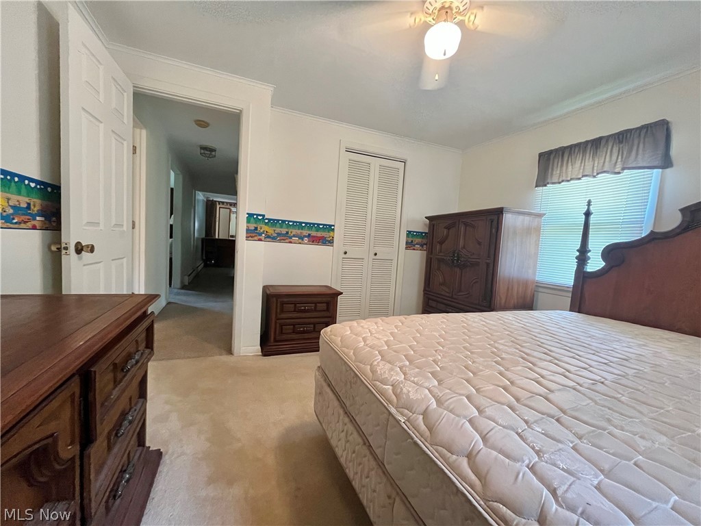 5921 Pine Street Property Photo 29