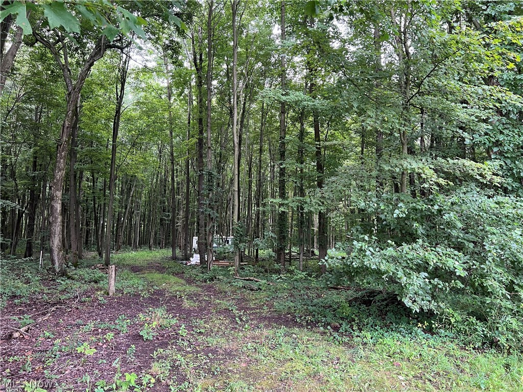 6124 Root Road Property Photo 1