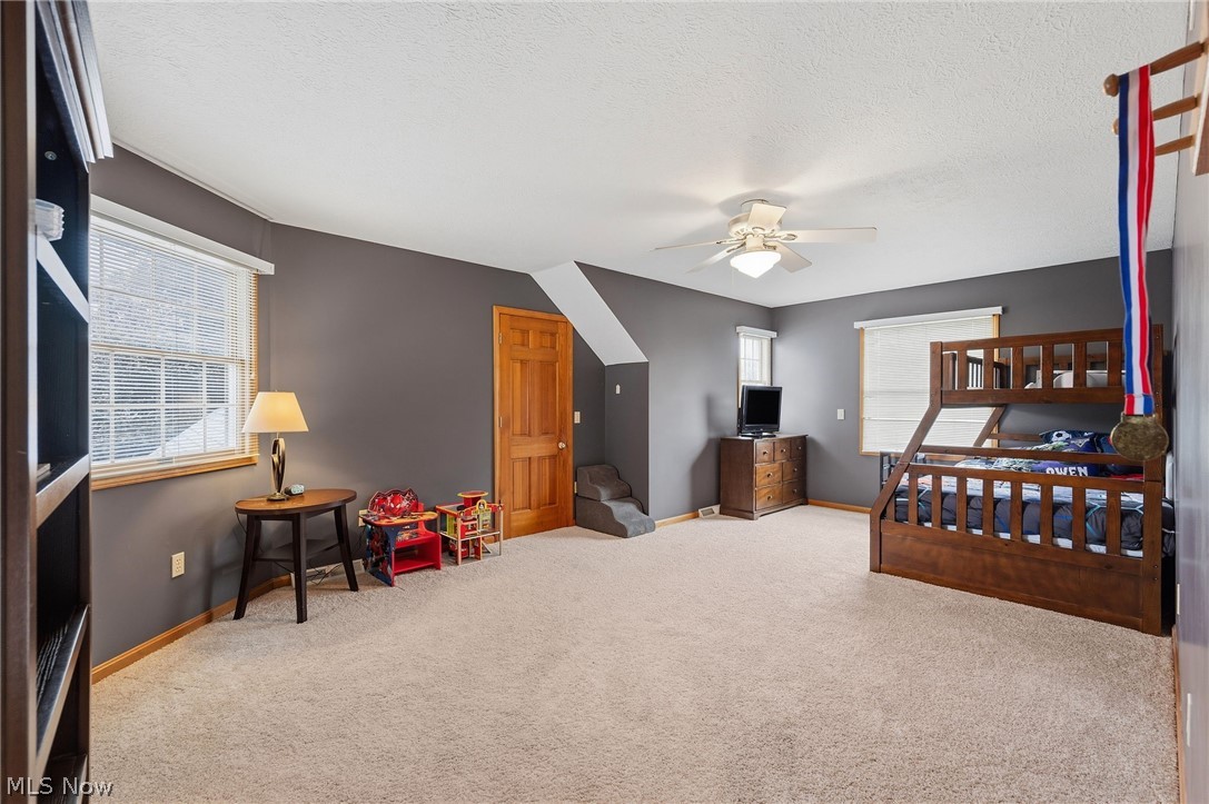 46787 Middle Ridge Road Property Photo 26