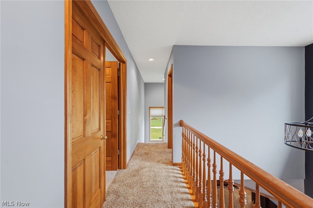 46787 Middle Ridge Road Property Photo 30