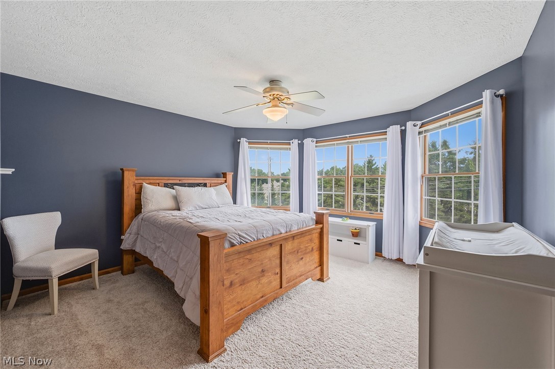 46787 Middle Ridge Road Property Photo 31