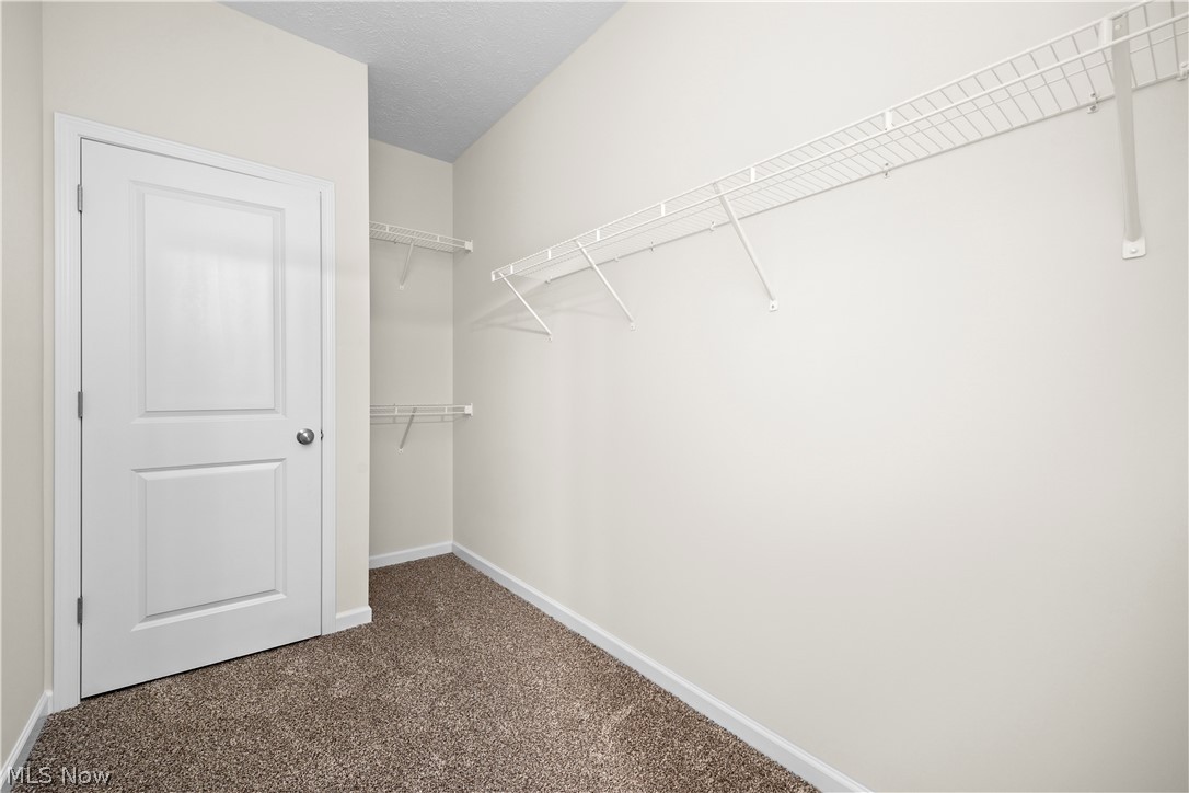 509 Eldemire Lane Property Photo 14
