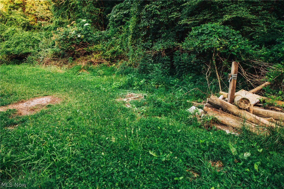 1965 Hall Drive Property Photo 13