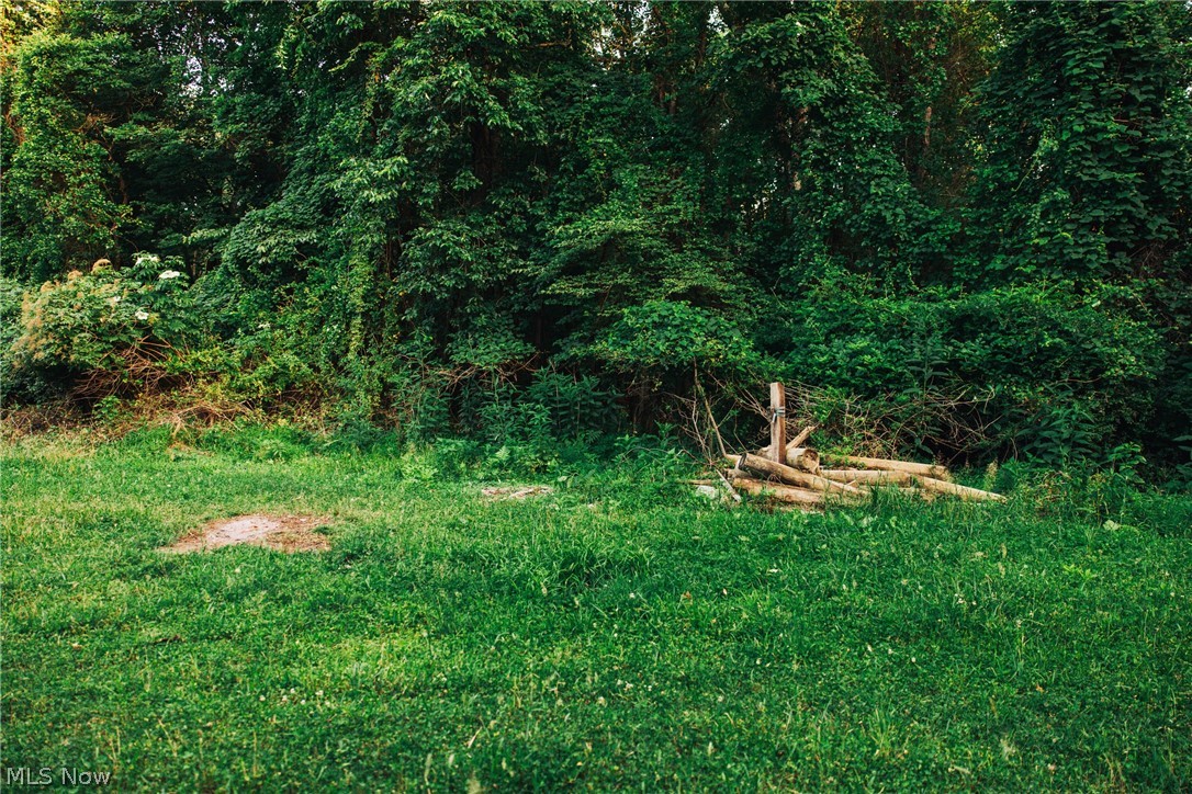 1965 Hall Drive Property Photo 18