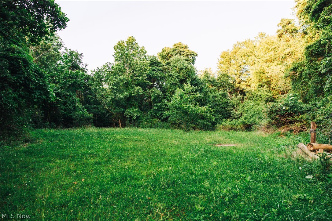 1965 Hall Drive Property Photo 28