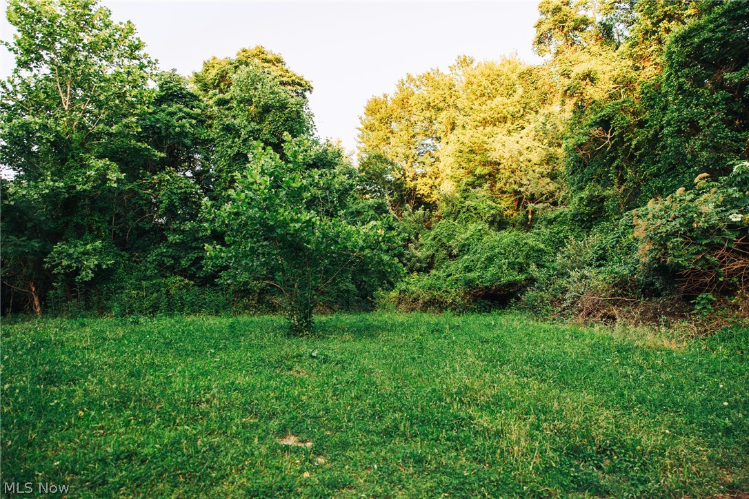 1965 Hall Drive Property Photo 45