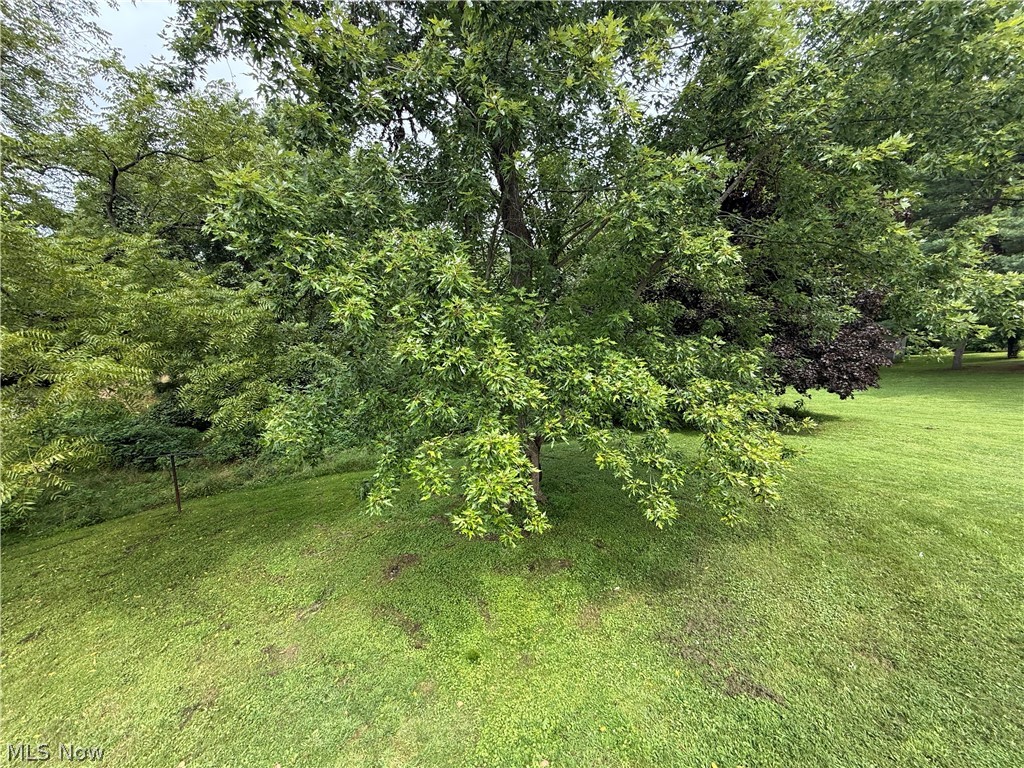 109 Ideal Road Property Photo 10