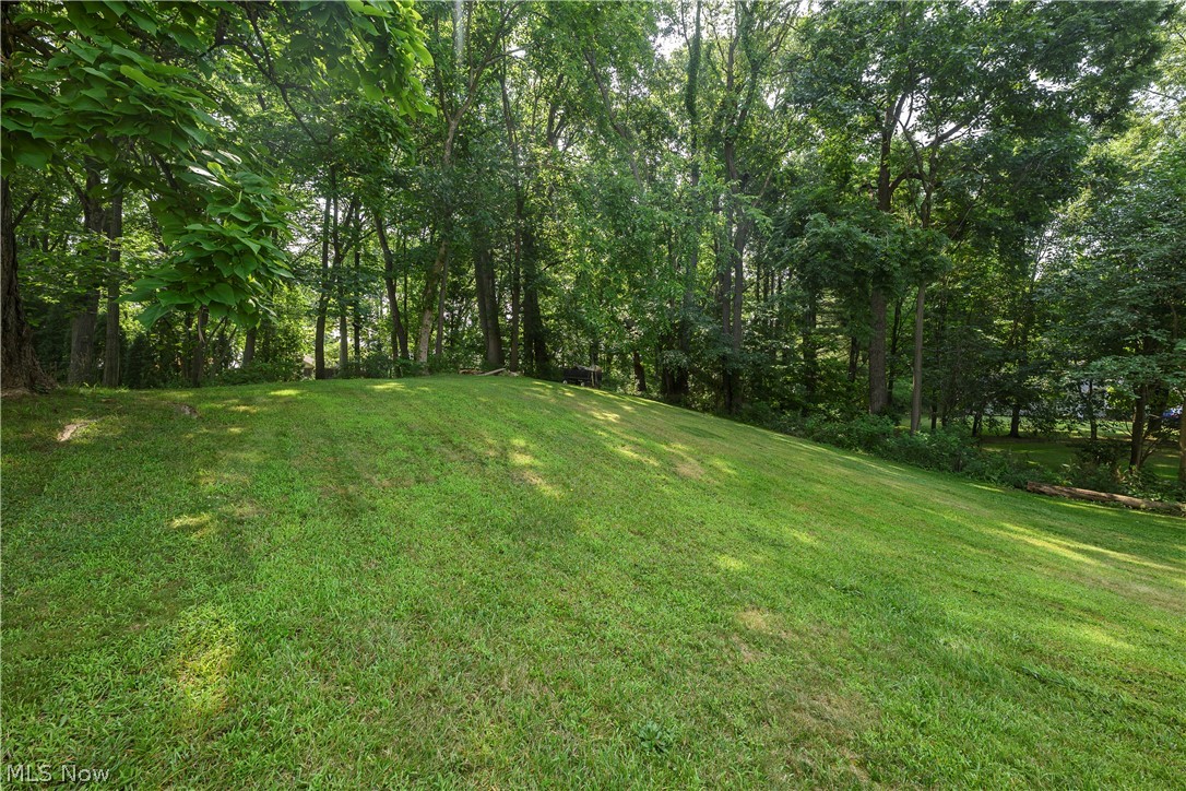 455 River Road Property Photo 10