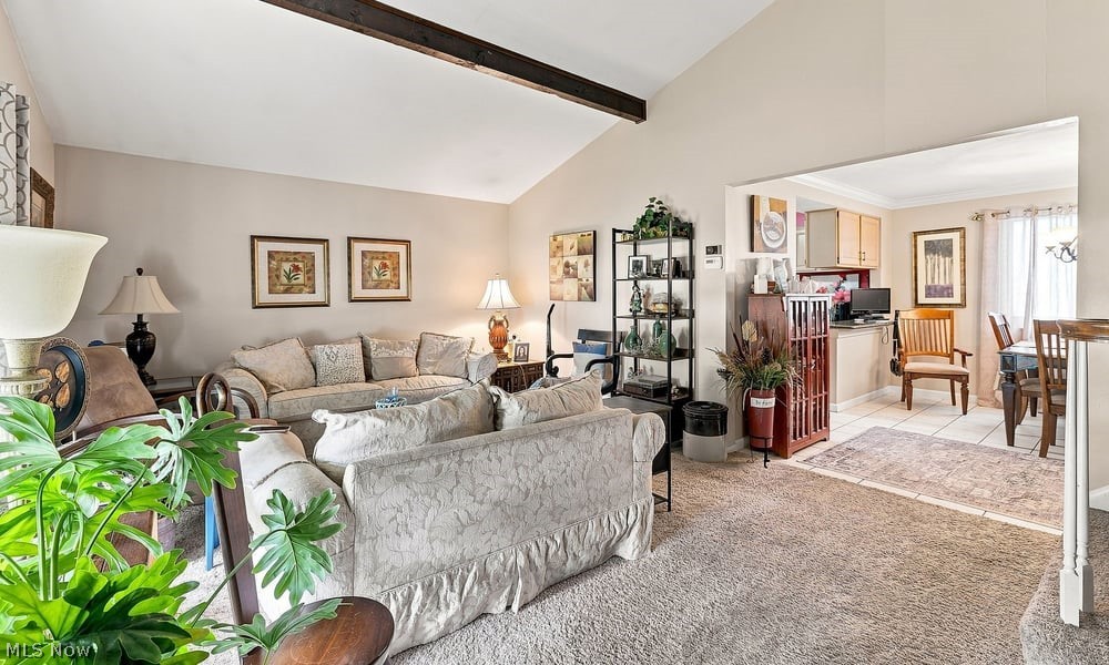 28520 Spruce Drive Property Photo 4