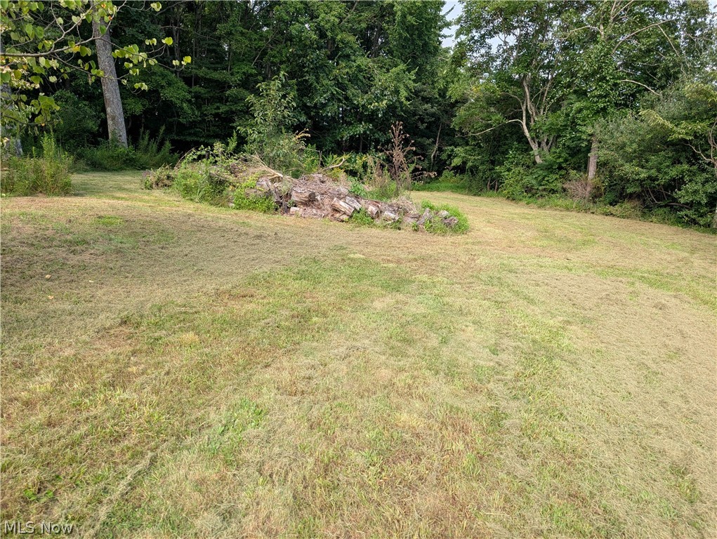 10811 Freedom Road Property Photo 33
