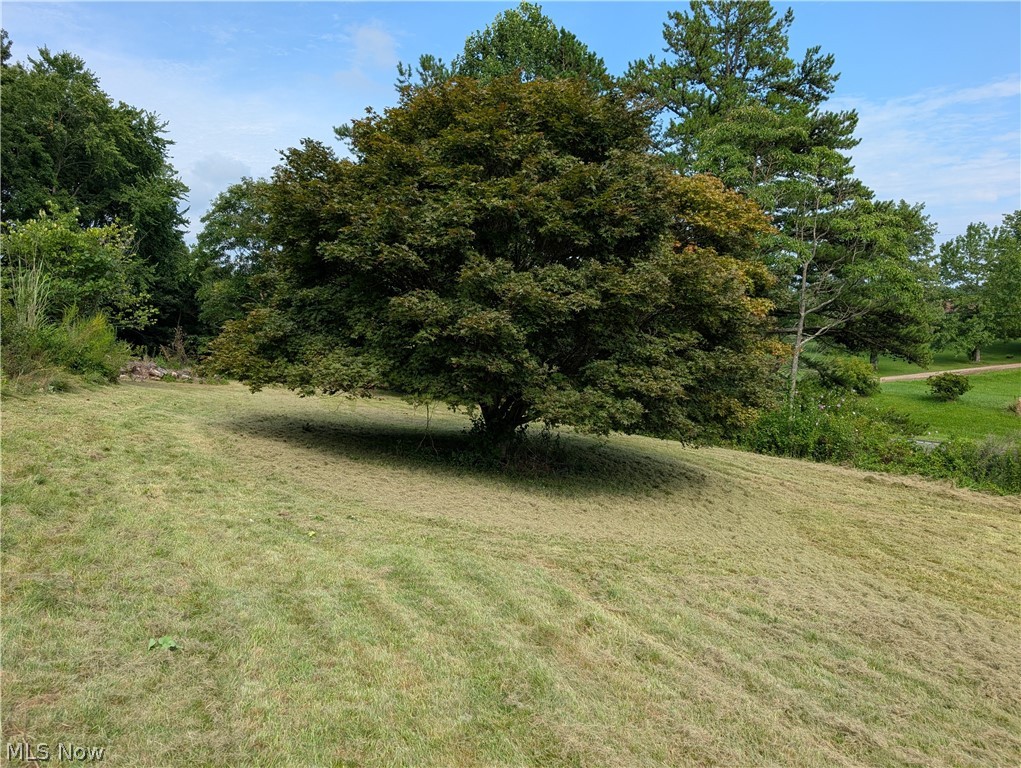 10811 Freedom Road Property Photo 36