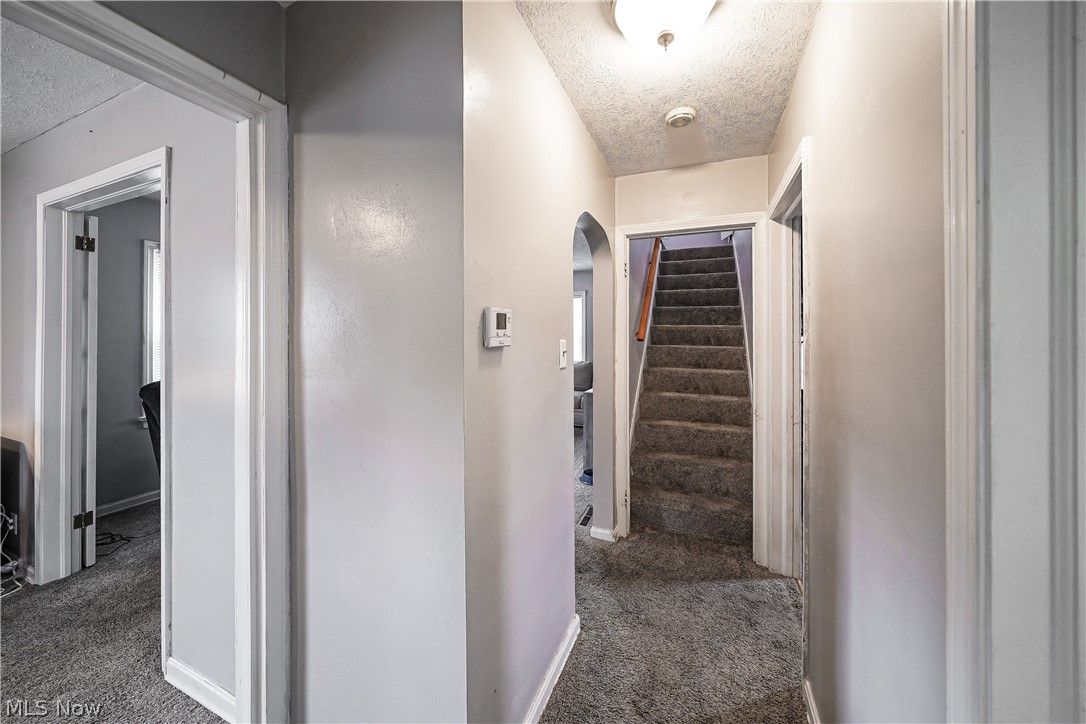 61 Hawk Avenue Property Photo 15