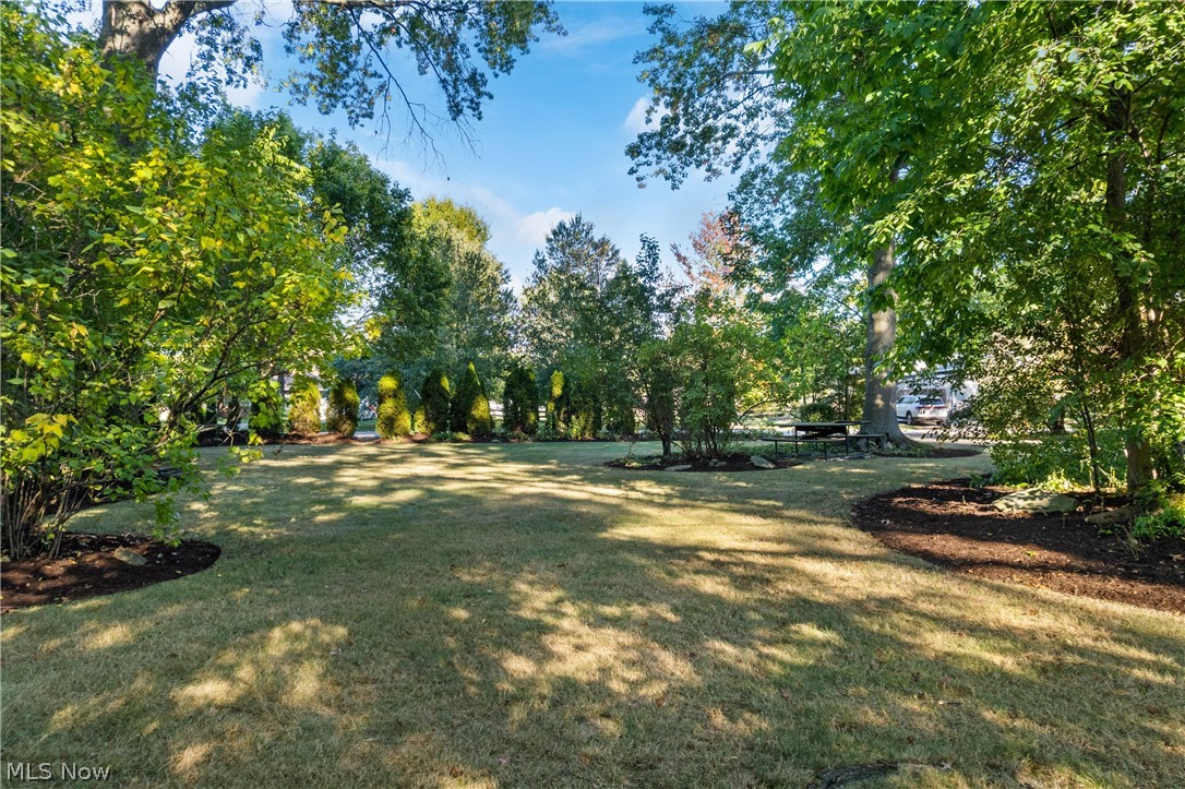 37523 Arlington Drive Property Photo 34