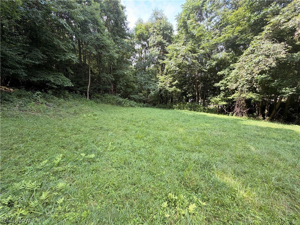 37301 Morrow Road Property Photo 24