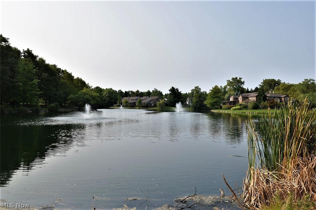 10 Windrush Property Photo 41