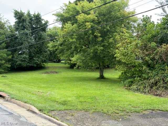 203 Jefferson Avenue Property Photo 7