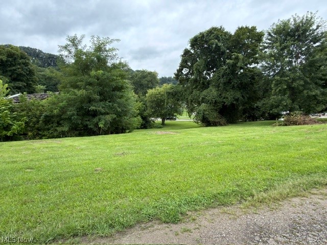 203 Jefferson Avenue Property Photo 12