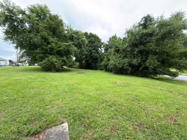 203 Jefferson Avenue Property Photo 17