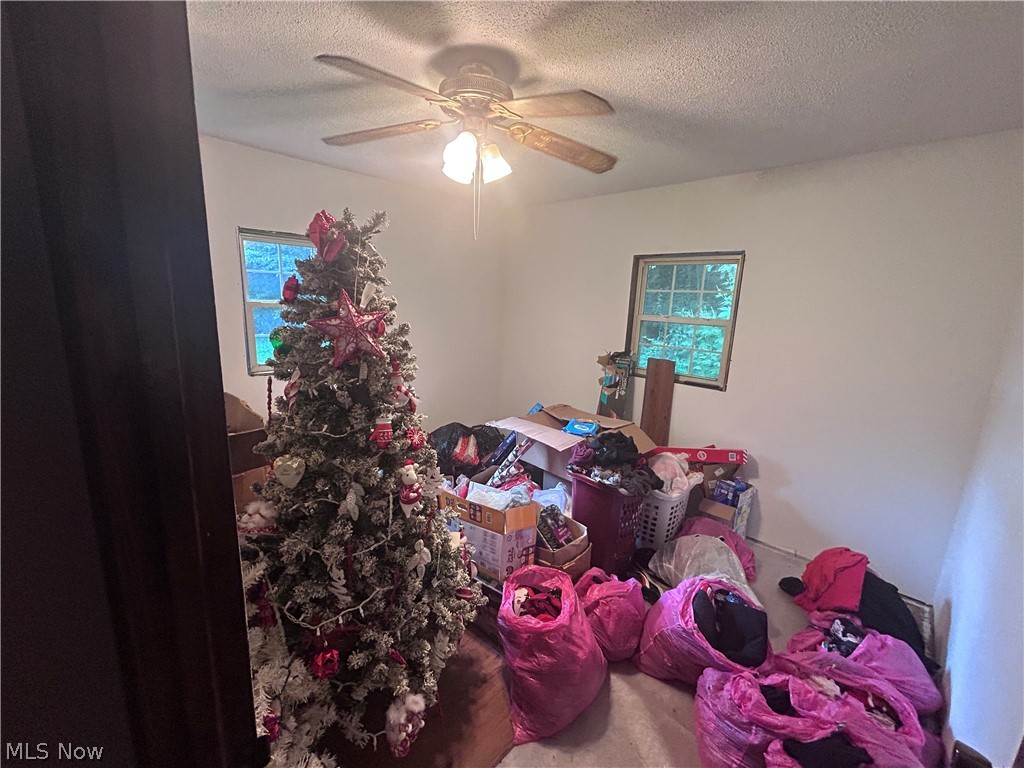 48013 E Brown Peavine Road Property Photo 15