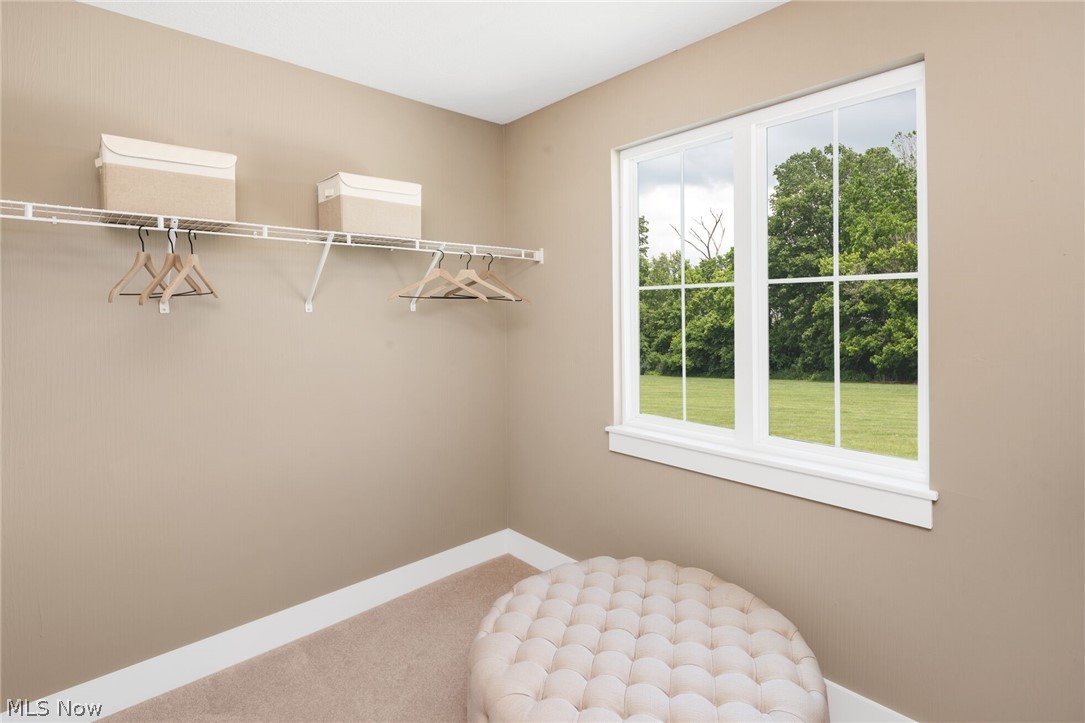 5645 Knob Oak Drive Property Photo 21