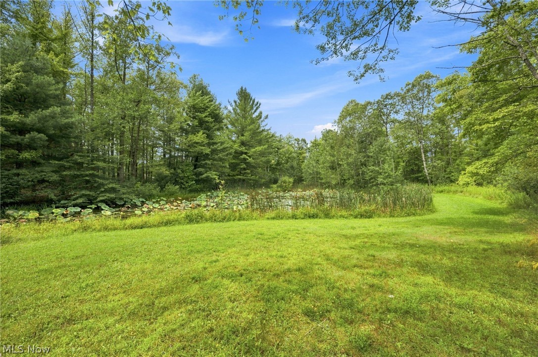 8995 Knotty Pine Lane Property Photo 45