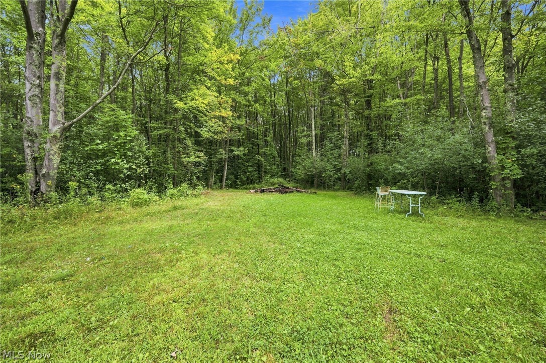 8995 Knotty Pine Lane Property Photo 47