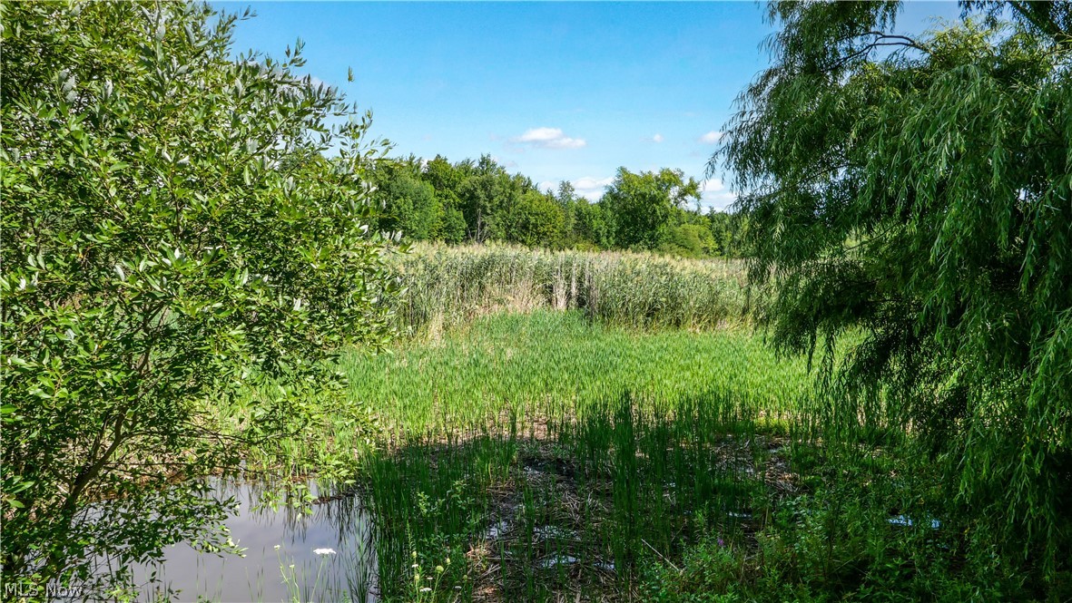 3237 State Route 82 Highway Property Photo 2