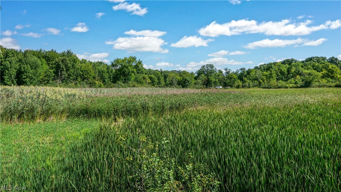 3237 State Route 82 Highway Property Photo 7
