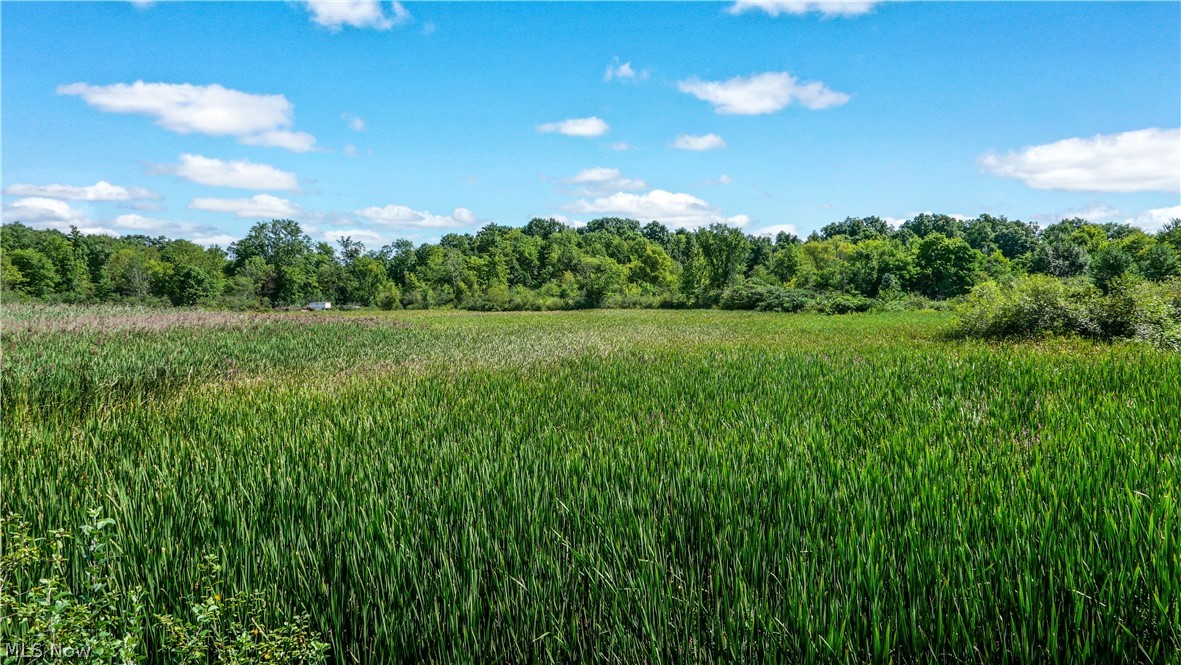3237 State Route 82 Highway Property Photo 8