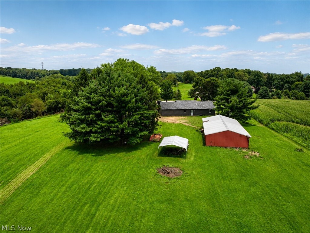 11489 Roller Coaster Road Property Photo 33