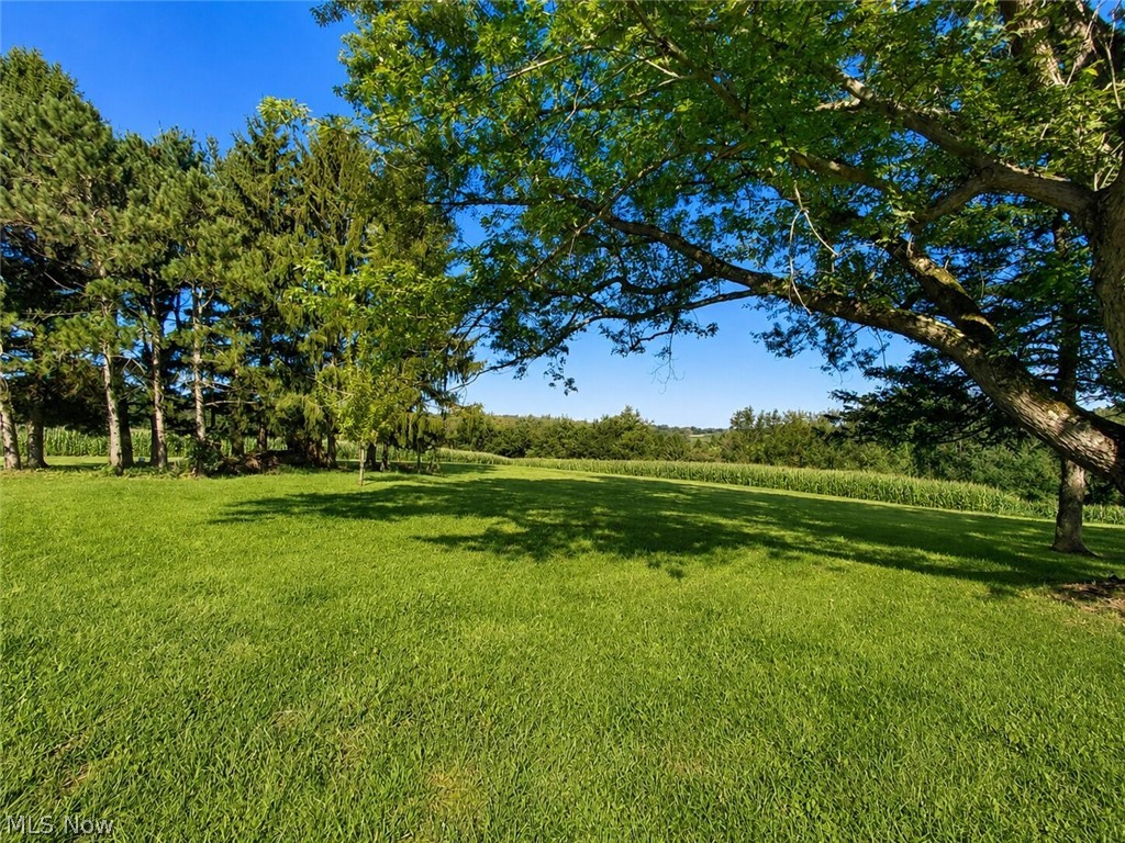 11489 Roller Coaster Road Property Photo 38