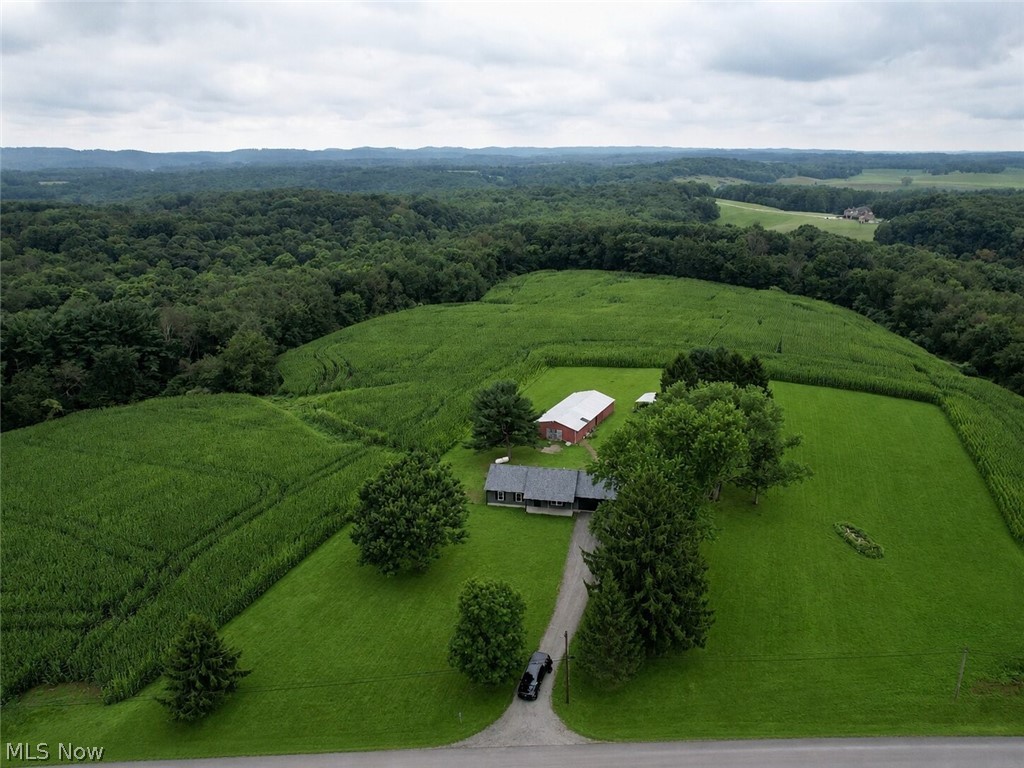 11489 Roller Coaster Road Property Photo 39