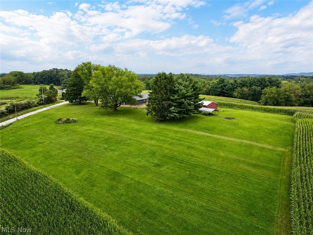 11489 Roller Coaster Road Property Photo 41
